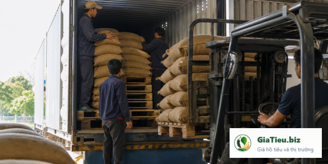 Cách tính cước container hồ tiêu: bảng chi phí cần chuẩn bị trước khi đặt tàu