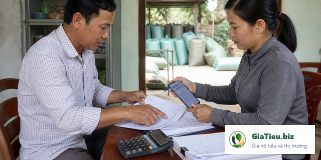 Quản lý công nợ khi bán hồ tiêu cho đại lý: sổ theo dõi thực tế