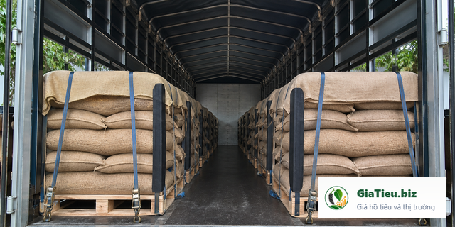 Xếp bao hồ tiêu trên pallet trong xe vận chuyển